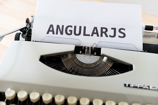 AngularJS : une plateforme de développement à maîtriser